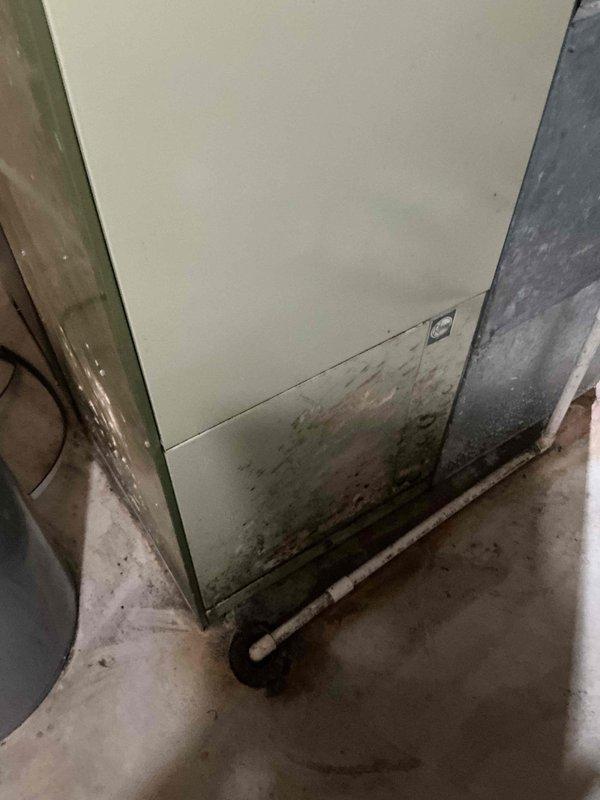Responded to no cooling complaint at basement HVAC installation. Upon inspection, found aging air handler system with significant water damage and staining on lower cabinet panels, indicating possible condensate drainage issues or previous leakage. Evaluated existing equipment condition, noting deteriorated exterior surfaces and accumulated debris around unit base. Provided customer with replacement options for complete air conditioning and air handler system upgrade to restore cooling functionality and address underlying moisture-related concerns affecting equipment integrity.