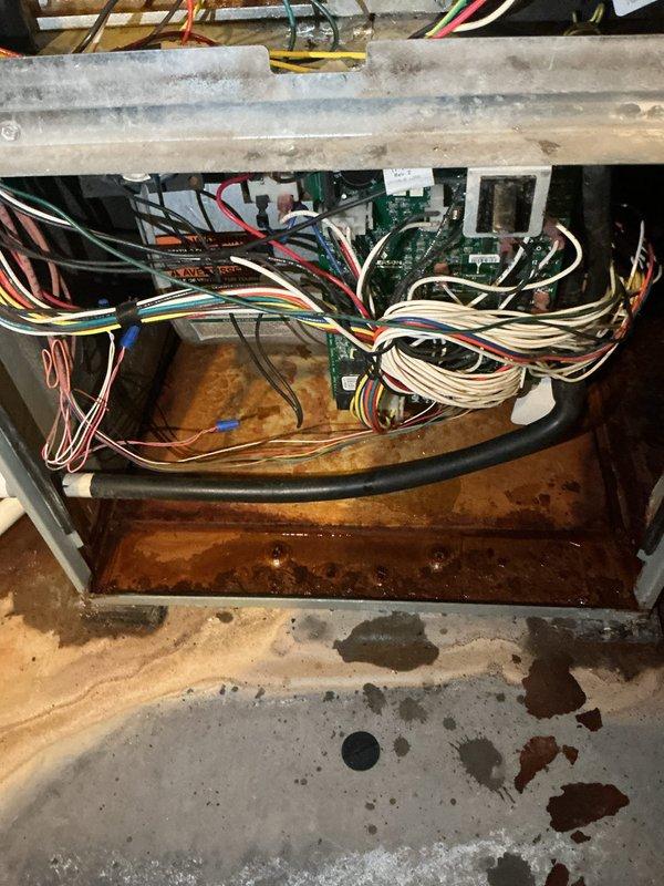 # HVAC Service - Mini Split System No Airflow Issue

Responded to service call for mini split system with complete loss of airflow. Upon inspection, discovered significant water accumulation in the drain pan with heavy rust contamination throughout the base of the air handler unit. Extensive condensation was observed on interior metal surfaces, indicating drainage system failure. The standing water had reached levels that likely triggered the float safety switch, shutting down system operation to prevent overflow damage. Identified clogged condensate drain line as primary cause of water backup. Cleared drain line obstruction and verified proper drainage flow. Removed accumulated water from drain pan and inspected electrical components and control board for water damage. All wiring connections remained secure and dry due to elevated mounting position above water line. Tested capacitor and verified proper electrical function. Cycled system through complete operational test, confirming re