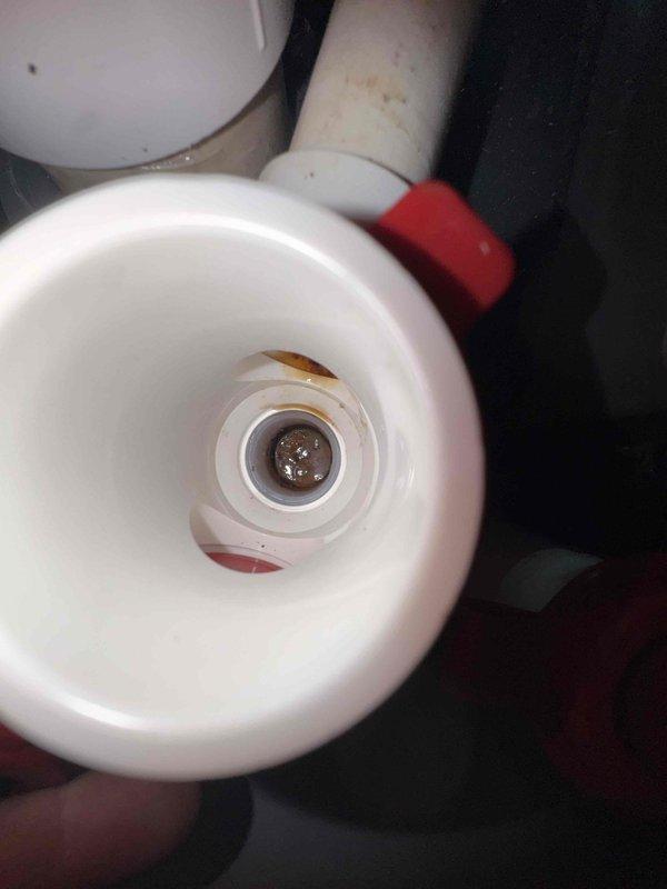 Responded to report of water leak on one-year-old air conditioning unit. Performed thorough inspection of condensate drain system and identified source of leakage at primary drain line connection. Inspected PVC drain piping, trap assembly, and drain pan for proper installation and functionality. Observed buildup and residue in drain components indicating potential blockage or improper drainage. Checked condensate flow and verified trap was holding water seal as designed. Documented findings with photos for further review and determination of necessary repairs to resolve leak issue.