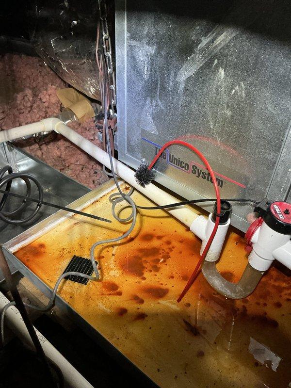Performed HVAC service call on air conditioning system. Inspected air handler unit and condensate drainage system. Found standing water in drain pan with visible staining and discoloration indicating drainage issues. Examined PVC condensate line configuration with trap assembly. Noted significant rust-colored mineral deposits and water staining on drain pan surface. Documented moisture accumulation and high humidity conditions within cabinet. Tested and evaluated drainage components including trap assembly and discharge piping. System components assessed for proper operation and water removal functionality.