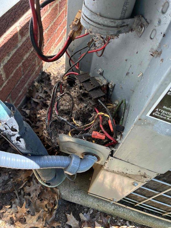Completed afternoon cooling system tune-up on non-member residential HVAC unit. Upon inspection, found extensive debris accumulation including decomposed leaves, dirt, and organic material around outdoor condenser unit's electrical junction box and wiring connections, creating potential fire hazard and impeding proper system operation. Observed visible corrosion on electrical components and wire connectors due to moisture exposure and debris buildup. Cleaned electrical connection area, removed accumulated organic material from junction box, and inspected all wiring for damage. Verified capacitor function and compressor operation. Unit returned to normal operating condition with improved airflow and electrical safety.
