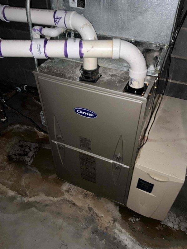 Provided HVAC replacement options for existing Carrier system with R-22 refrigerant. Documented current indoor unit (Model 561CJ042-F) and assessed system condition in basement mechanical room. Customer previously had companion AC unit replaced last June and is now evaluating replacement options for this secondary system.