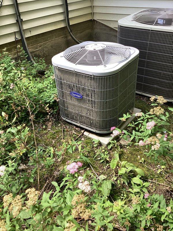 Completed comprehensive cooling season tune-up maintenance on two Carrier air conditioning units located at exterior of residence. Performed standard preventive maintenance procedures including inspection of refrigerant levels, electrical connections, condenser coils, and fan operation on both systems. Noted significant vegetation overgrowth around unit bases requiring customer attention to maintain proper airflow and prevent future efficiency issues. Verified both systems operating within normal parameters upon completion of service.