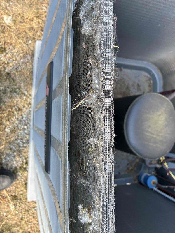 Completed routine cooling maintenance on residential HVAC system. Inspected blower motor assembly and verified proper operation with all electrical connections secure. Cleaned heavily soiled outdoor condenser coil which had significant debris accumulation including organic material, insects, and dirt restricting airflow through the fins. Noted damaged front grille with torn protective screening that allowed excessive debris penetration into the unit. Restored optimal airflow to condenser coil through thorough cleaning to improve heat transfer efficiency and system performance. All system components operational at time of departure.