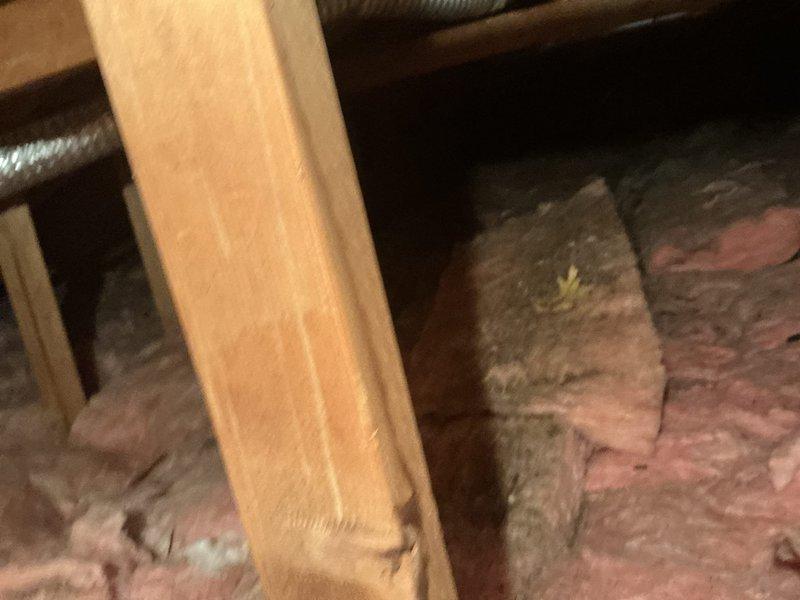 Conducted site assessment for mini split AC installation to supplement existing boiler heating system. Evaluated attic space accessibility, structural framing, and insulation conditions to determine optimal placement for indoor air handler unit and refrigerant line routing. Documented existing HVAC infrastructure including flexible ductwork and available mounting locations for equipment installation.