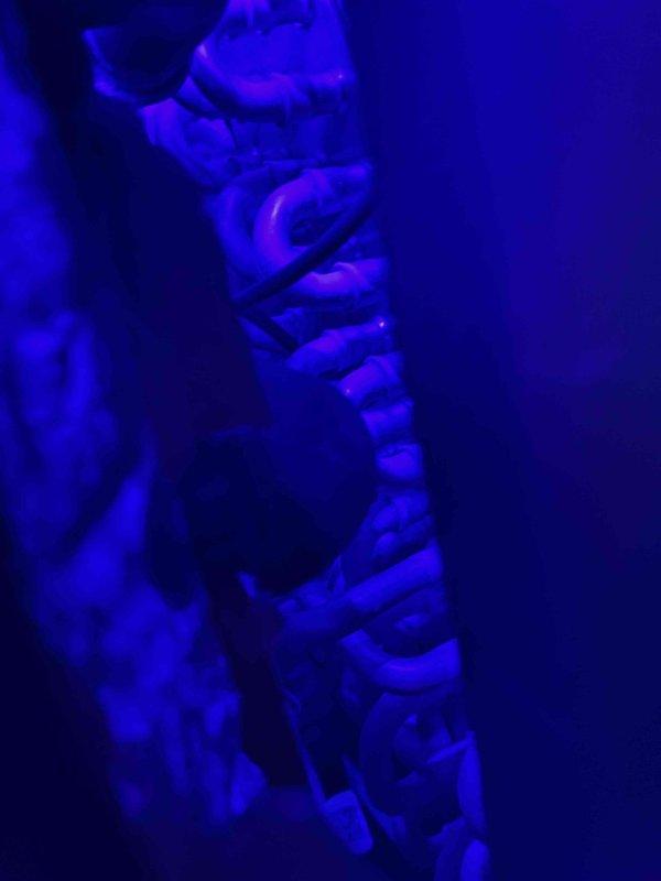 Performed refrigerant leak detection service on HVAC system using UV dye injection method. Inserted fluorescent dye into refrigerant circuit and utilized ultraviolet light inspection to identify potential leak points in copper piping and connections. Inspected accessible copper piping, joints, and fittings in confined wall cavity areas where insulation is present, documenting findings with UV illumination photography for accurate leak location verification.