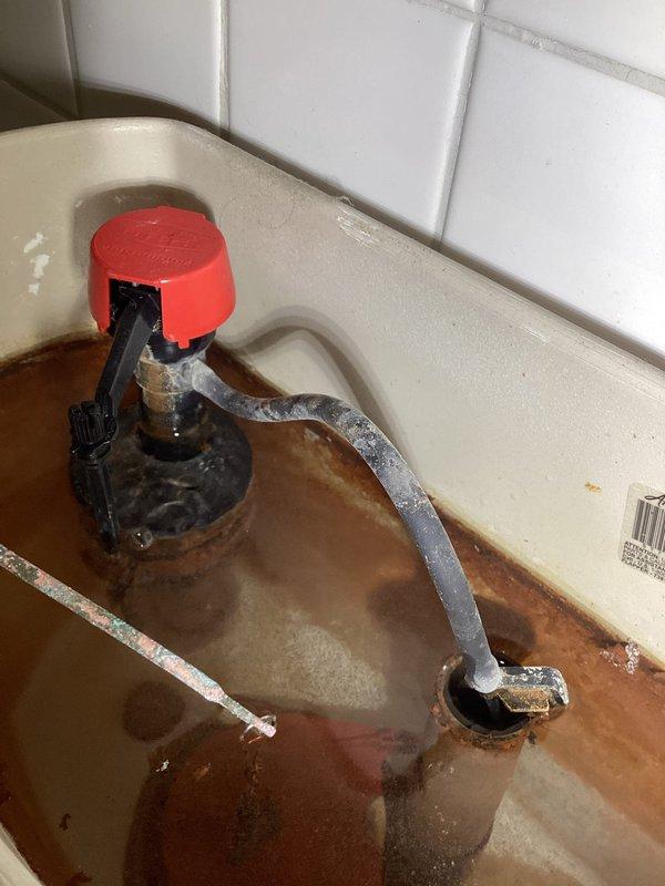 Responded to service call for reported toilet leak in master bedroom and leaking pipe in garage. Upon arrival, conducted inspection of plumbing fixtures and identified significant rust corrosion and deterioration affecting sink faucet assembly and basin. Documented extensive rust staining throughout porcelain sink basin and heavy corrosion on faucet mounting assembly and spout. Observed red protective cap on faucet valve assembly. Assessed moisture-related issues evident in exterior courtyard area with visible algae and organic growth on brick pavers and wall bases, indicating potential drainage concerns. Photographed affected fixtures and areas for service documentation and further evaluation of necessary repairs.