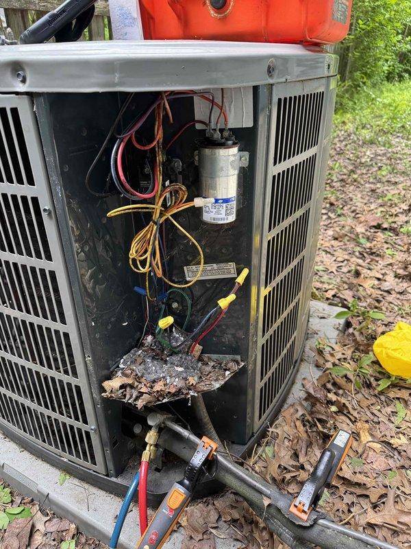 Responded to a no-cooling complaint on an 11-year-old air conditioning system where indoor air circulation was normal but the outdoor condenser unit failed to operate. Performed comprehensive diagnostic inspection including verification of electrical supply at main breaker panel, outdoor disconnect box, and unit wiring connections—all confirmed operational. Inspected refrigerant lines for freeze conditions with negative findings.

Upon accessing the outdoor unit's electrical compartment, identified significant debris accumulation within the housing that had collected over time. Conducted visual inspection of internal components including the dual-run capacitor, contactor assembly, compressor terminals, and condenser fan motor connections. All electrical connections appeared secure with no visible signs of wire damage or corrosion at terminal points.

The outdoor unit showed typical wear patterns consistent with its age, with the condenser coil exhibiting normal outdoor exposure. Refrig