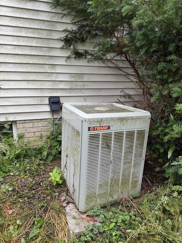 # HVAC Service Report

Responded to no cooling call with outdoor unit fan not operating. Upon arrival, found aging Trane condenser with condenser fan motor failure. Unit showed significant weathering, algae growth, and inadequate clearance from surrounding vegetation. Measured electrical parameters with clamp meter, confirming loss of power to fan motor circuit. System over 10 years old with visible deterioration of cabinet and components. Diagnosed failed condenser fan motor as primary cause of no cooling condition. Collected diagnostic fee and provided customer with repair options for motor replacement and recommended vegetation clearance for proper airflow and unit longevity.