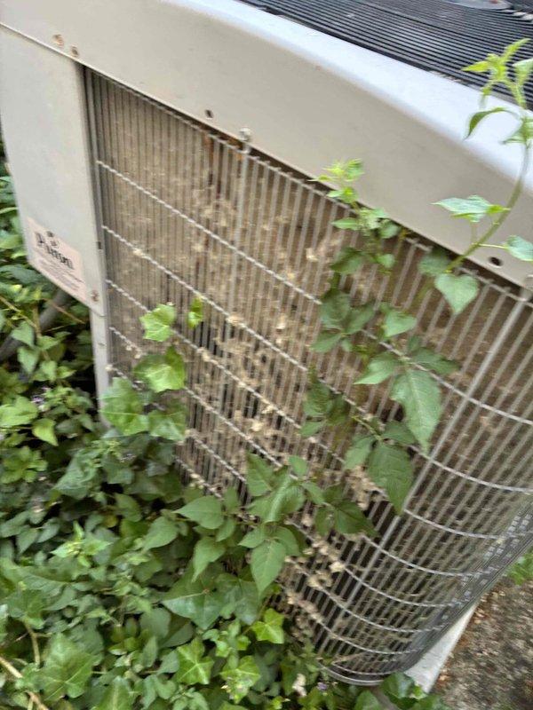 Performed preventive maintenance on outdoor condensing unit found with significantly obstructed airflow due to heavy vegetation overgrowth and debris accumulation on condenser coils. Cleared dense plant growth from around and through unit housing, removed dirt and debris buildup from mesh grille and cooling fins, and restored proper clearance around equipment to ensure adequate ventilation and optimal system efficiency.