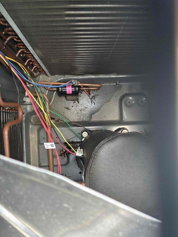 Responded to no cooling complaint on residential HVAC system. Upon arrival, performed diagnostic inspection of outdoor condensing unit and indoor air handler components. Inspected evaporator coil, refrigerant lines, electrical connections, and drain pan assembly. All major components including compressor, coil fins, and wiring harnesses appeared in normal operating condition with typical wear patterns. System evaluated and customer advised of findings.