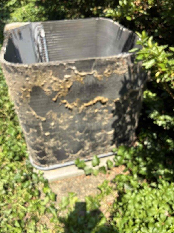 Performed thorough coil cleaning on outdoor condensing unit that exhibited heavy accumulation of dirt, debris, and organic matter on exterior mesh screening and condenser fins. The unit's heat exchange surfaces were heavily contaminated with dark buildup that significantly restricted airflow and reduced system efficiency. Cleaned and restored condenser coils to proper operating condition, removing years of accumulated outdoor contaminants to restore optimal heat transfer capability and system performance.
