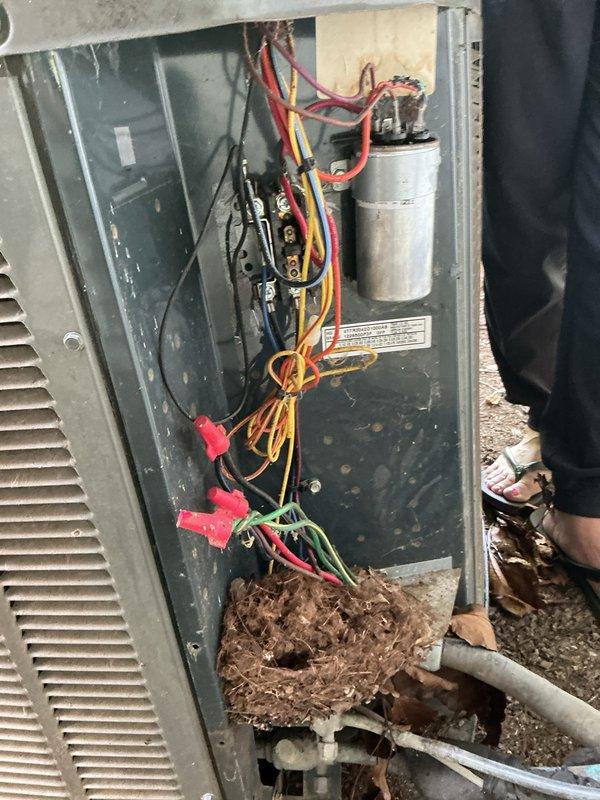 Responded to no cooling condition affecting entire residence with 10+ year old air conditioning system. Upon inspection, found outdoor unit electrical compartment with significant accumulation of organic debris, dirt, and fibrous material in lower housing area. Assessed capacitor condition showing age-related discoloration and surface contamination. Documented electrical connections including power wiring and control circuits to capacitor terminals. Unit exhibited signs of extended service life with visible wear, dirt buildup, and minor surface corrosion on interior metal housing. Photographed electrical components and debris accumulation for service records.