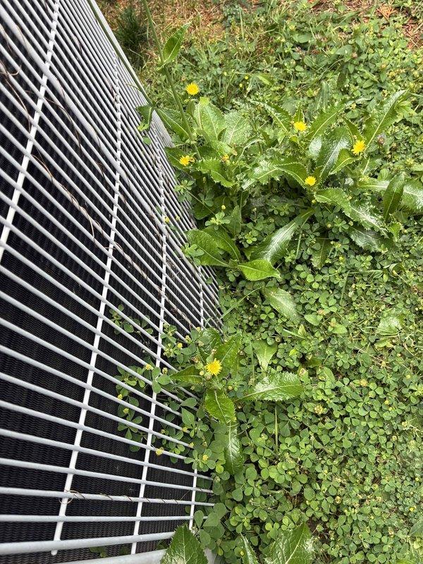 Completed routine cooling system maintenance on outdoor condenser unit as part of recurring preventive maintenance program. Inspected condenser coils, protective grille, and external components, confirming all elements in good operational condition with no visible damage or debris obstruction. Documented equipment condition with photographic records showing clean, properly functioning cooling fins and intact protective housing.