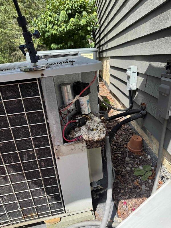Responded to no cooling complaint on residential air conditioning unit. Upon inspection, discovered access panel open with significant accumulation of nesting material (white fibrous debris) in electrical compartment surrounding capacitor and internal wiring connections. Removed foreign material from unit, verified electrical connections secure, and restored system to proper operation.