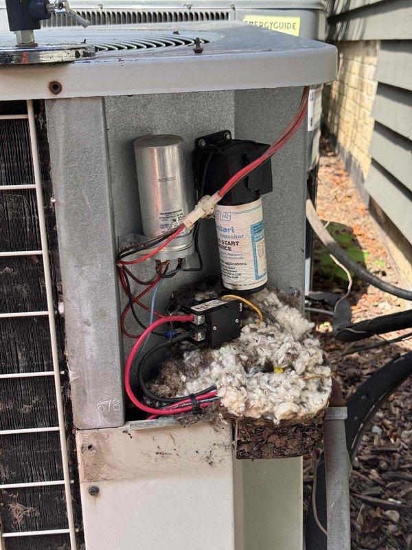 Responded to no cooling complaint on residential air conditioning unit. Upon inspection, discovered access panel open with significant accumulation of nesting material (white fibrous debris) in electrical compartment surrounding capacitor and internal wiring connections. Removed foreign material from unit, verified electrical connections secure, and restored system to proper operation.