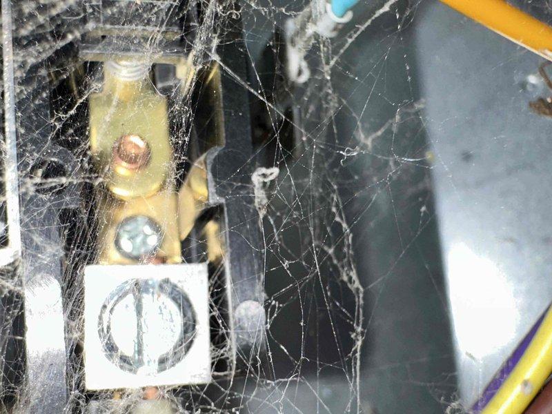 Completed cooling system tune-up and maintenance inspection. Upon accessing the unit, discovered extensive cobweb and dust accumulation throughout electrical components, terminal blocks, and pressure gauge assemblies. Thoroughly cleaned all electrical connections, terminal blocks, brass fittings, and surrounding components to restore proper airflow and prevent potential electrical issues. Verified all wire connections remain secure and properly terminated across yellow, blue, purple, and red conductors. System operational following maintenance service.