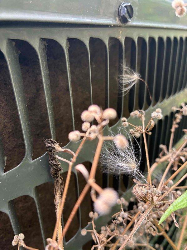 Responded to no cooling complaint on residential air conditioning system. Upon arrival, found outdoor condenser unit heavily obstructed by overgrown vegetation and debris accumulation around intake grille. Cleared dried weeds, plant material, and cotton-like seed fibers that had completely blocked airflow to the unit. Removed debris from condenser coil fins and surrounding areas to restore proper ventilation. System airflow restriction was preventing adequate heat exchange, causing loss of cooling capacity. After clearing obstruction and verifying unimpeded airflow through condenser coils, unit returned to normal operation with proper cooling restored.