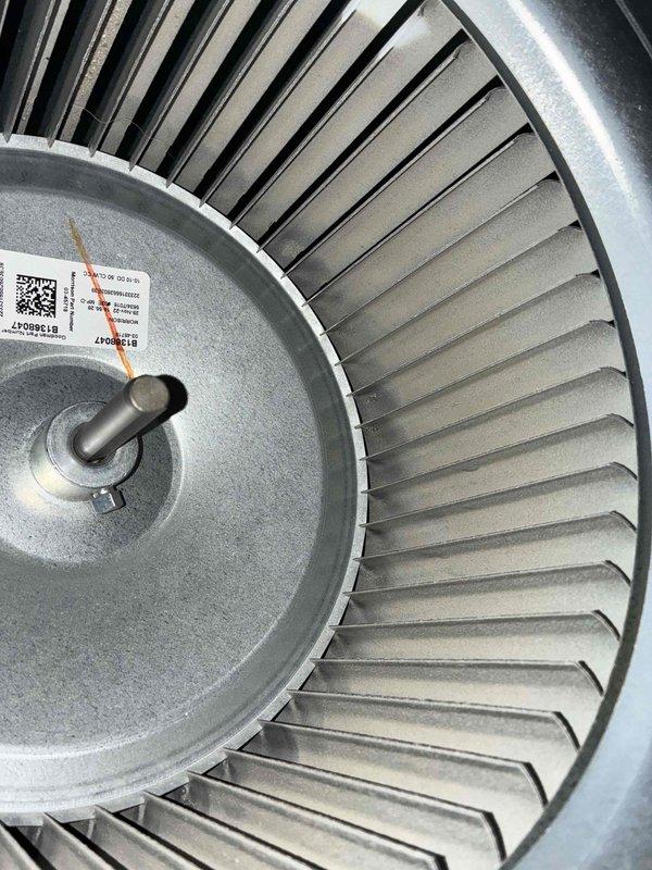 Performed cooling system tune-up on residential HVAC unit. Inspected blower motor assembly and squirrel cage fan wheel, noting dust accumulation on blades and components. Documented equipment condition with photos showing operational blower assembly with normal wear patterns consistent with regular use.