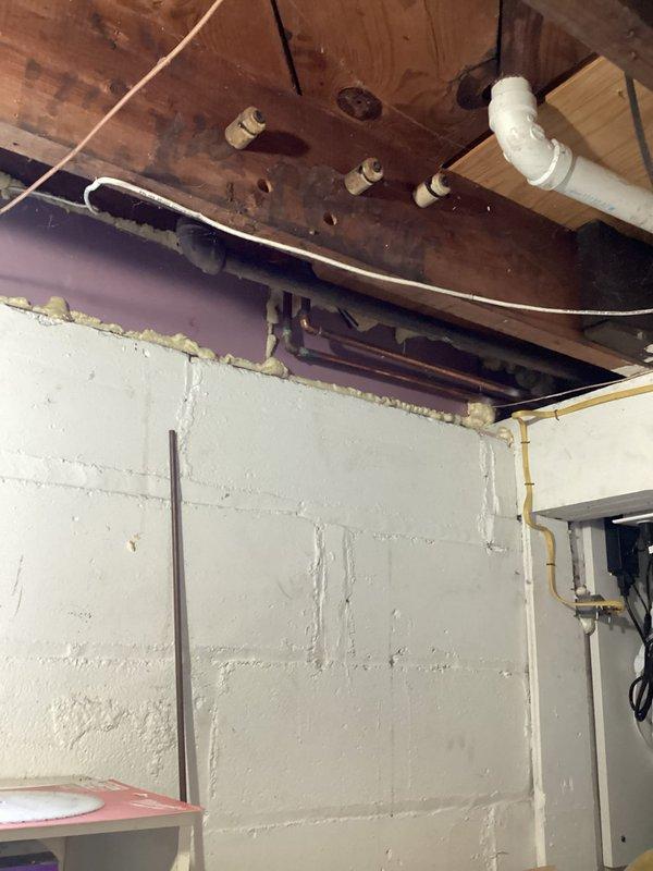 Completed comprehensive plumbing inspection of residential basement area, examining exposed water supply lines, drainage systems, and gas piping infrastructure. Documented existing conditions including PVC drainage pipes, copper supply lines, and yellow CSST gas lines for maintenance records. Provided estimate for installation of new exterior hose bib at rear of property.