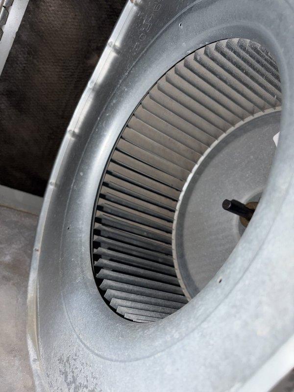 Completed comprehensive furnace tune-up at residential apartment unit, including full system inspection and cleaning of blower assembly. Documented existing dust and debris accumulation on squirrel cage blower wheel and housing components, which were cleaned during service. Provided customer with quotes for air duct cleaning services and air purifier installation to improve overall indoor air quality.