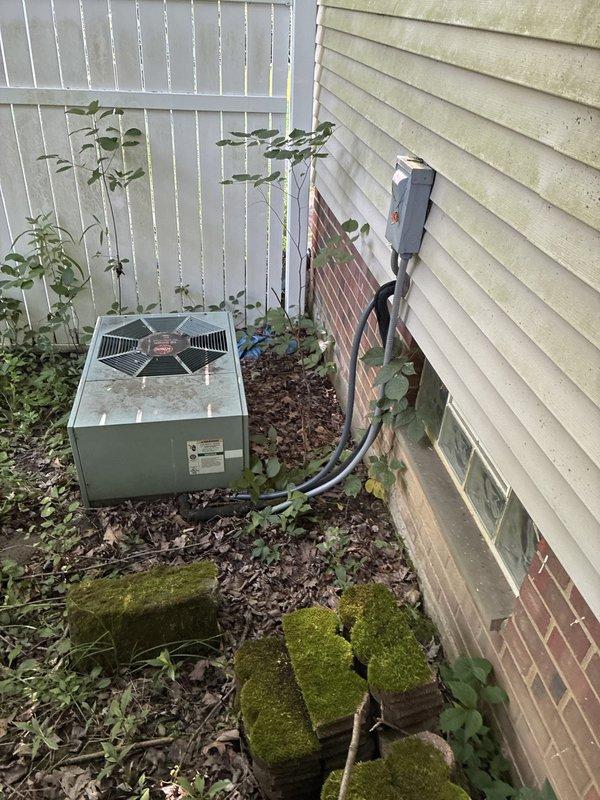 Responded to no cooling complaint and performed system evaluation. Assessed existing outdoor condenser unit located in narrow side yard with vegetation encroachment and indoor air handler in basement utility area. Documented equipment condition showing signs of age and provided replacement options for complete HVAC system upgrade to restore cooling functionality.