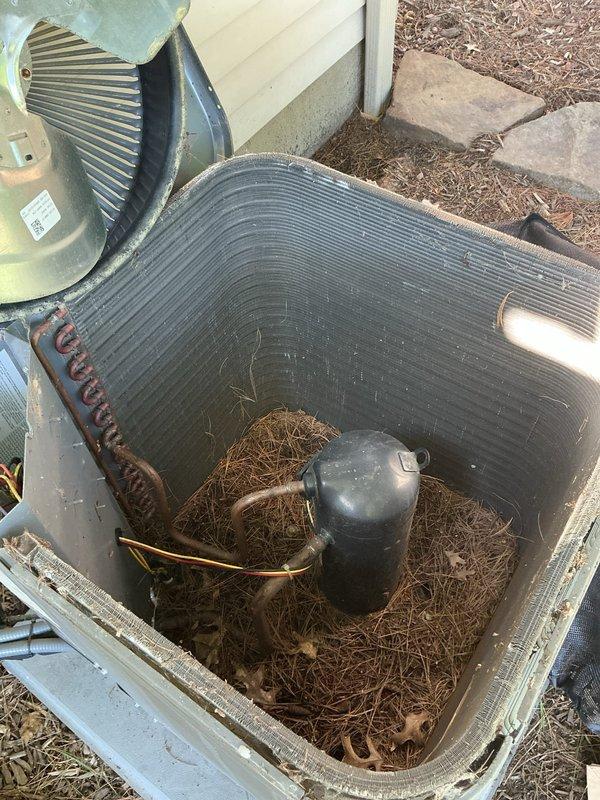Performed comprehensive tune-up on outdoor condensing unit, removing protective cover and top panel to access internal components. Cleaned condenser coil of accumulated dirt and debris, removed significant buildup of grass clippings, pine needles, and organic material from unit base and around compressor. Inspected refrigerant lines, fan blade assembly, and electrical connections for proper operation and wear.