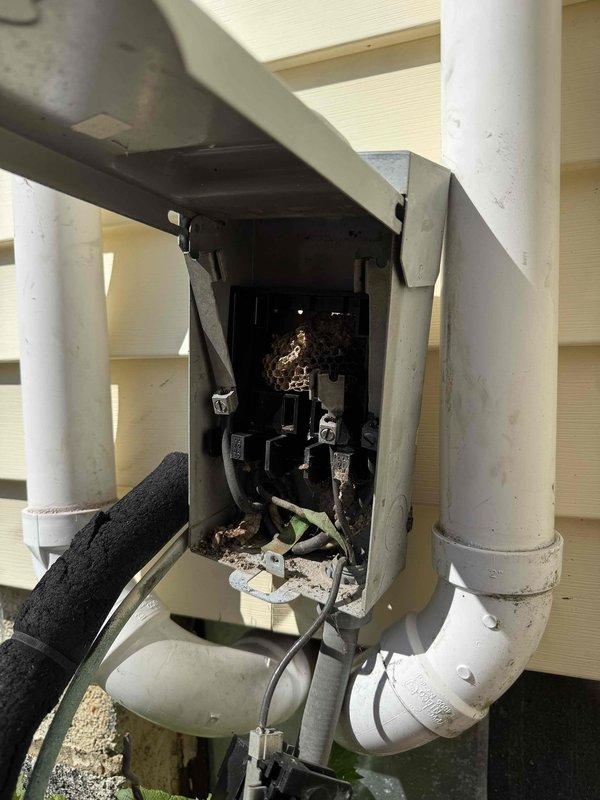 Responded to no-cooling call following exterior siding work at residence. Upon arrival, discovered outdoor disconnect switch had been compromised during construction activities. Inspection revealed bird nest material had infiltrated the electrical junction box, creating obstruction and potential safety hazard around electrical components and connections. Nest debris was packed around insulators and wiring, preventing proper operation of the disconnect switch and interrupting power supply to the condensing unit.

De-energized system and removed all nest material from junction box interior. Cleaned electrical contacts and verified integrity of all wire connections and terminals. Inspected conduit penetrations and sealed gaps where pest intrusion occurred. Restored power to unit and verified proper voltage at disconnect. Condensing unit returned to normal operation with appropriate amperage draw. Tested system through complete cooling cycle to confirm restoration of functionality. Advised
