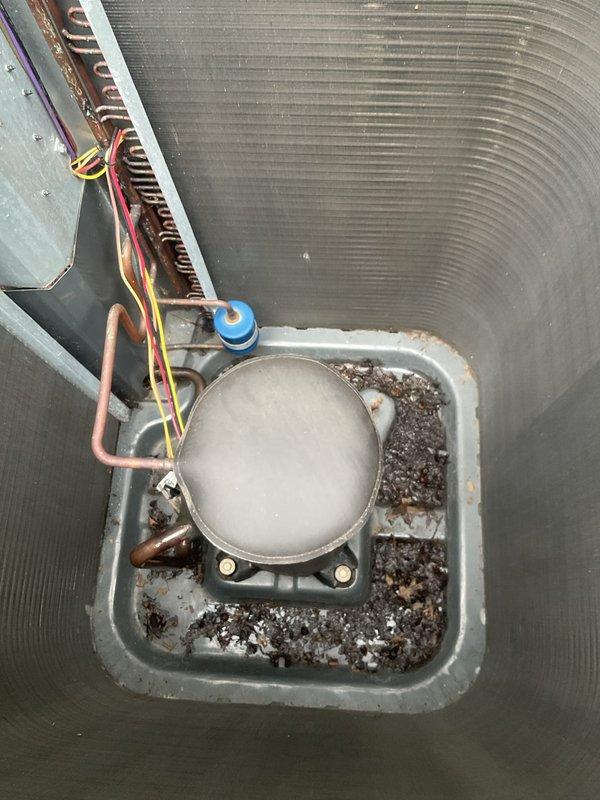 Responded to callback regarding unsatisfactory cleaning of air conditioning unit. Upon arrival, found significant accumulation of debris, leaves, and sediment in drain pan as reported. Performed thorough cleaning of drain pan and surrounding areas, removing all organic matter and buildup. Inspected system components including evaporator coil, refrigerant lines, and accumulator. Noted heavy frost buildup on accumulator indicating proper refrigerant cycle operation. Verified copper line connections secure and heat exchanger fins intact. Cleared all debris from base pan and ensured proper drainage. System left clean and operational with customer satisfaction confirmed.