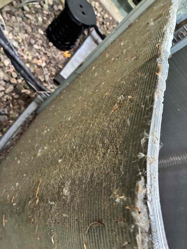 # HVAC Service Completed

Performed deep coil cleaning on three outdoor condenser units exhibiting heavy accumulation of dirt, dust, debris, and environmental contaminants that had significantly reduced airflow efficiency and heat transfer capacity. Coil fins displayed substantial brownish-green discoloration with embedded plant material and particulate matter throughout the fin assemblies. Completed comprehensive maintenance service on all three units following the coil cleaning to ensure optimal system performance and efficiency.
