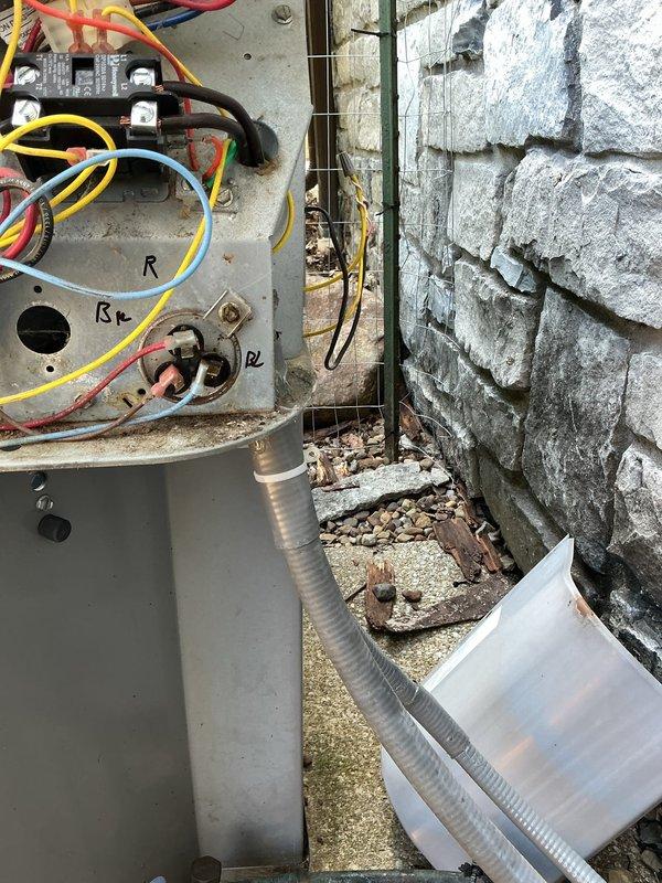 Responded to no cooling complaint caused by pet damage to low-voltage control wiring at outdoor condensing unit. Inspected electrical control panel and circuit board, documented extensive wire damage to thermostat and control circuits, and assessed system operability. Recommended complete rewiring of damaged conductors and verification of control board functionality to restore proper system operation.