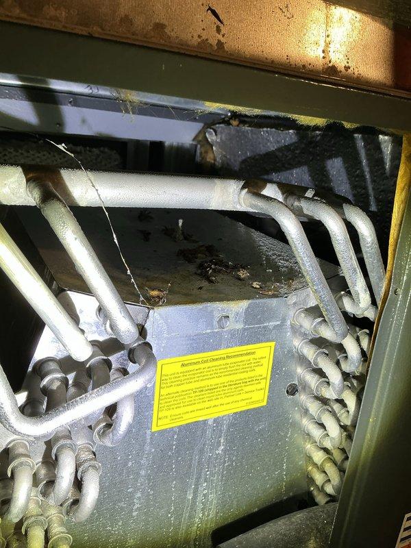 Responded to air conditioning water leak complaint. Upon arrival, inspected HVAC system and accessed unit housed in green metal cabinet enclosure. Connected Fieldpiece SMAN refrigerant manifold gauge to system and performed diagnostic testing of refrigerant pressures and temperatures to rule out low refrigerant charge as cause of leak. Readings indicated system pressures within normal operating parameters, confirming leak was condensate-related rather than refrigerant issue.