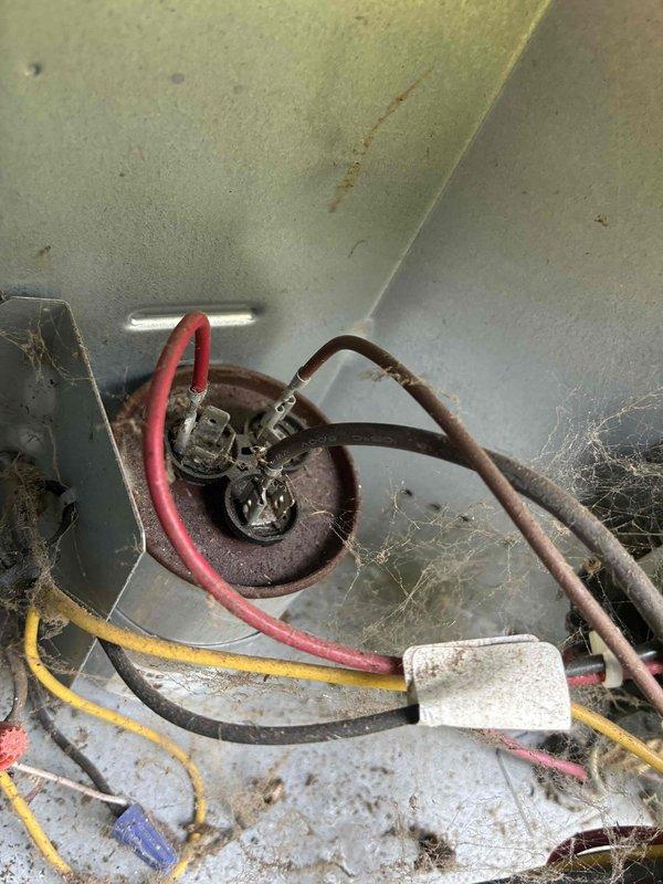 Completed comprehensive cooling system tune-up on residential air conditioning unit. Inspected and serviced outdoor condenser unit, noting significant vegetation overgrowth requiring clearance recommendation for optimal airflow and efficiency. Examined electrical components including capacitor, wiring connections, and control circuits; all connections found secure despite visible dust accumulation within cabinet, which was addressed during maintenance procedures.
