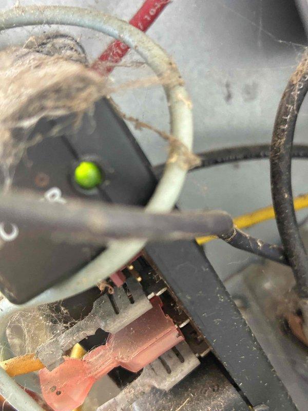 Completed comprehensive HVAC tune-up on system with visible dust and debris accumulation on electrical components and wiring connections. Inspected all electrical terminals, connections, and control wiring; documented existing conditions showing age-related oxidation on terminal blocks and connection points requiring monitoring for future service needs.