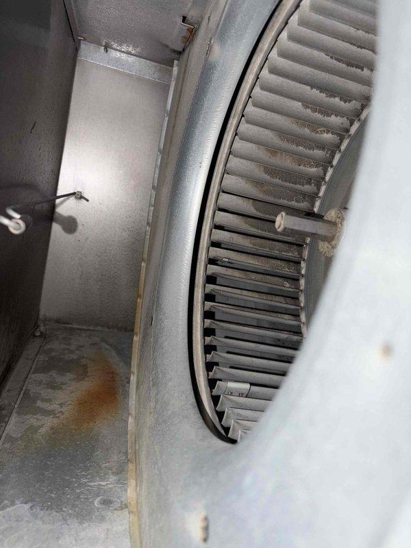 Completed preventive maintenance on aging Bryant cooling system. Performed comprehensive inspection of blower assembly, ductwork, and condensate drainage system. All components found operating within normal parameters with no immediate repairs required at this time.