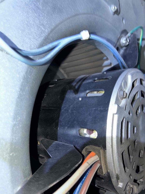 Responded to service call for furnace with reported blower motor failure on unit installed approximately 2-3 years ago. Performed diagnostic inspection of blower motor assembly, accessing internal components and examining motor mounting, electrical connections, and blower wheel operation. Assessed motor condition, checked wiring connections including multiple colored leads, and evaluated dust accumulation on motor casing and surrounding components. Inspected external furnace connections including PVC intake/exhaust piping and associated hardware during troubleshooting process.