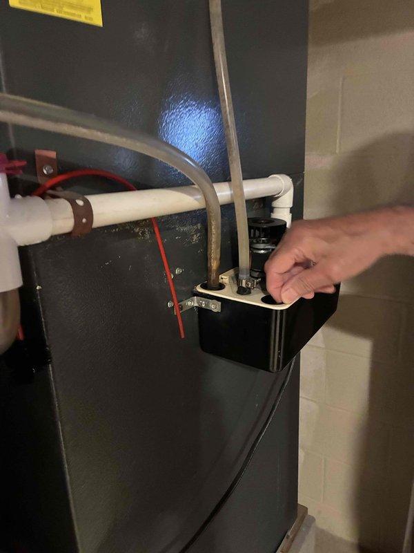 Responded to service call for furnace with reported blower motor failure on unit installed approximately 2-3 years ago. Performed diagnostic inspection of blower motor assembly, accessing internal components and examining motor mounting, electrical connections, and blower wheel operation. Assessed motor condition, checked wiring connections including multiple colored leads, and evaluated dust accumulation on motor casing and surrounding components. Inspected external furnace connections including PVC intake/exhaust piping and associated hardware during troubleshooting process.