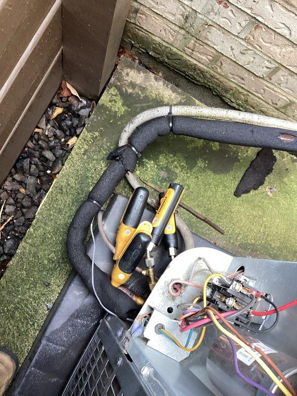 Completed comprehensive cooling system tune-up on outdoor condensing unit, including refrigerant pressure diagnostics, electrical connection inspection, and system performance verification. Addressed exterior biological growth concerns around unit location and confirmed all electrical components, including disconnect switch and terminal connections, are functioning properly. Unit operating within manufacturer specifications with all safety checks passed.