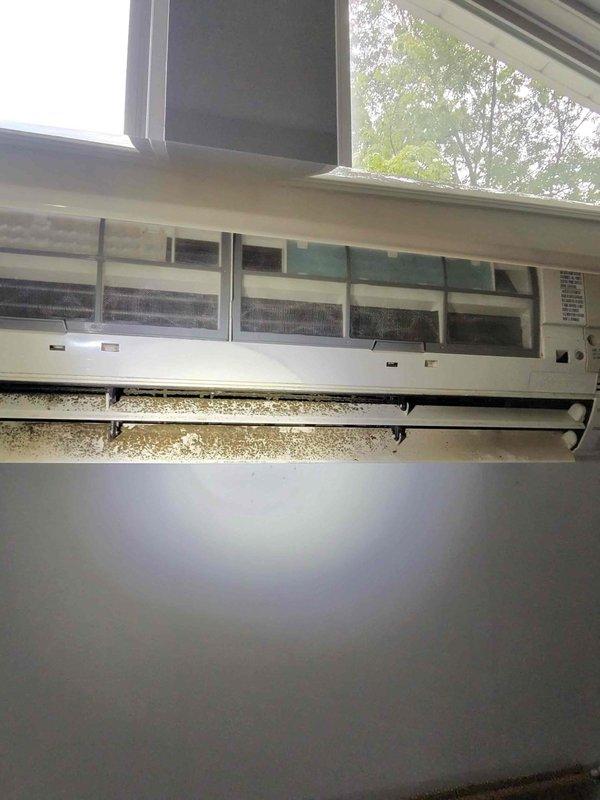Responded to no cooling complaint on mini-split system. Upon inspection, discovered heavily corroded copper U-bend piping at evaporator coil assembly with significant rust deterioration, and found substantial dirt and debris accumulation on air filter and internal components. Documented equipment condition showing advanced oxidation on refrigerant lines and compromised filtration system requiring immediate attention to restore proper cooling operation.