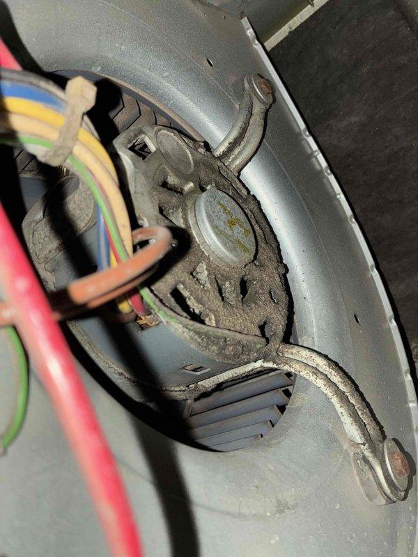 Completed non-member cooling system tune-up on residential HVAC unit. Performed standard maintenance inspection including refrigerant pressure checks using manifold gauges, which showed R-410A system operating within normal parameters. Inspected blower assembly and electrical connections in air handler, noting dust accumulation on motor housing and surrounding components. Provided quote for indoor evaporator coil cleaning service as requested.