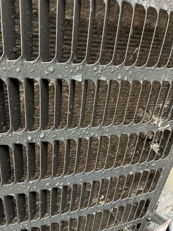 Completed scheduled preventive maintenance on residential cooling system. Inspected evaporator coil and confirmed proper operation with normal condensation present on fins and heat exchanger surfaces. Examined blower motor assembly, verified electrical connections, and confirmed squirrel cage blower wheel functioning correctly with no unusual wear or debris accumulation.
