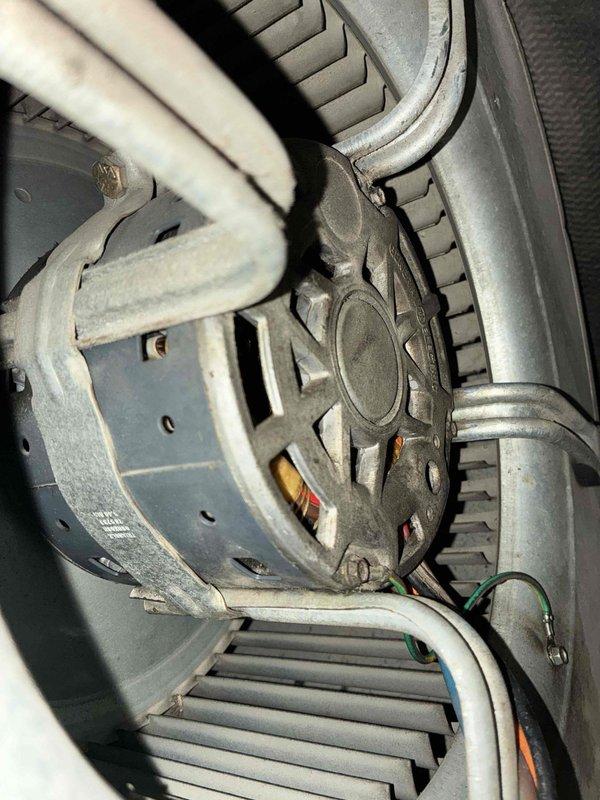 Completed scheduled preventive maintenance on residential cooling system. Inspected evaporator coil and confirmed proper operation with normal condensation present on fins and heat exchanger surfaces. Examined blower motor assembly, verified electrical connections, and confirmed squirrel cage blower wheel functioning correctly with no unusual wear or debris accumulation.