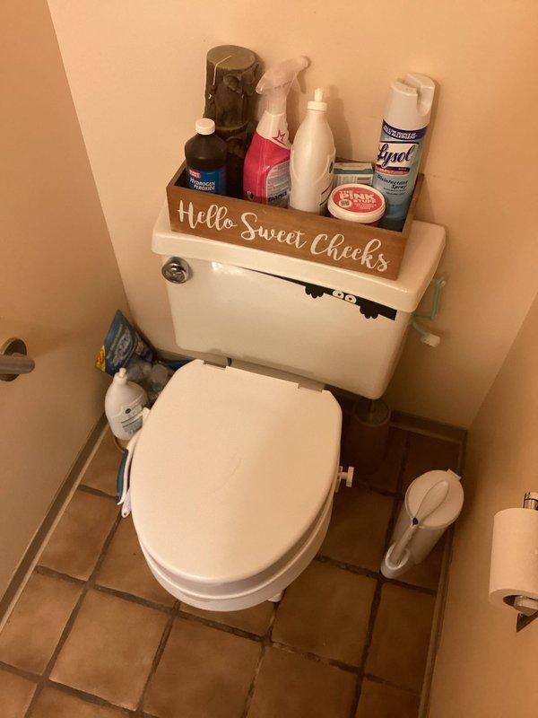 Completed comprehensive whole-home plumbing inspection during mid-morning visit. Assessed shower valve assembly with missing trim plate and noted corrosion staining on surrounding fixture area requiring attention. Evaluated toilet installation height and documented Delta shower head assembly for future estimate preparation.