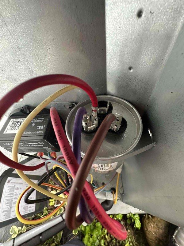 Completed scheduled cooling system maintenance on HVAC unit. Inspected and photographed White Rodgers control board and wiring connections, verifying all electrical connections were secure. Examined dual run capacitor and associated wiring terminals, confirming proper operation. Noted outdoor equipment location with environmental exposure including vegetation growth near unit base. All components tested and found operational at time of service.