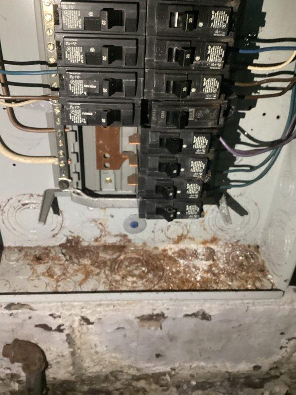 Responded to commercial no-power call and investigated electrical panel serving the building. Upon inspection, discovered significant rust and corrosion throughout the lower portion of the panel and surrounding wall area, indicating chronic water intrusion or moisture exposure. Heavy rust staining was present beneath circuit breakers and extended down the wall surface, with deteriorated paint and mineral deposits visible. Documented extensive corrosion damage with photographs showing compromised panel condition. All circuit breakers remained in housing with wiring connections intact at time of inspection. Customer was advised of the severe moisture damage and potential safety concerns requiring immediate attention from qualified electrical contractor for panel replacement and investigation of water source.