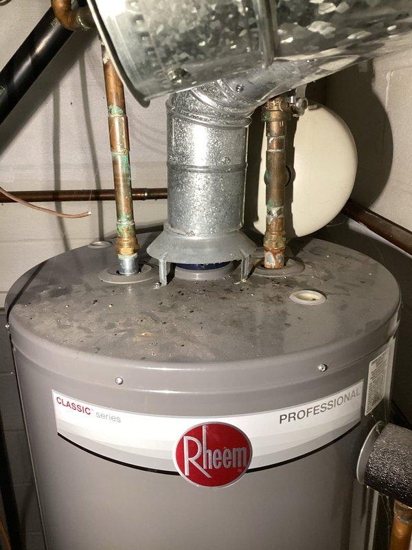Responded to no hot water complaint following previous service visit. Upon arrival, inspected Rheem Classic series professional-grade tanked water heater and associated plumbing connections. Evaluated all top-mounted components including temperature and pressure relief valve, expansion tank with proper air charge, circulator assembly, and copper supply lines showing age-related oxidation. Diagnosed issue and restored hot water functionality to the system.