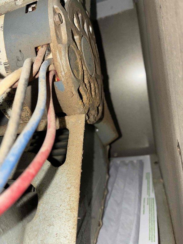 Completed comprehensive cooling system tune-up on residential HVAC unit. Performed diagnostic testing using digital multimeter to verify electrical specifications and system performance parameters. Inspection revealed significant rust and corrosion on electrical panel components and mounting hardware, indicating prolonged moisture exposure. All electrical connections were inspected and found secure despite deterioration of surrounding metal enclosure components. System operational testing confirmed unit is functioning within manufacturer specifications.