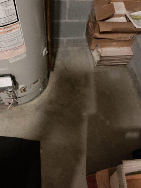 Conducted on-site assessment of existing water heater installation in basement utility area to provide replacement estimate. Inspected current hot water heater unit, noting manufacturer specifications, installation configuration, and existing plumbing connections. Documented equipment condition and surrounding workspace access for accurate replacement planning and material requirements.