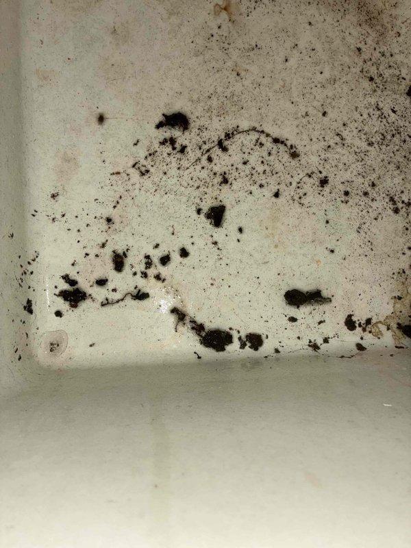 Responded to service call for A/C unit freezing up and causing interior water leakage. Upon inspection, discovered extensive mold growth and water damage on interior surfaces around air handler area, with heavy contamination visible on walls and ceiling. Evidence of prolonged moisture intrusion and biological growth indicates ongoing condensate drainage issue or refrigerant system malfunction causing excessive freeze conditions. Documented conditions with photographs showing significant deterioration requiring remediation. Escalated to senior technician for advanced diagnostics and defrost system evaluation to determine root cause of freezing coil and water overflow.