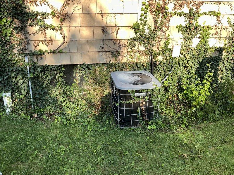 Performed comprehensive diagnostic evaluation of existing HVAC system and presented full system replacement options to customer. Assessed outdoor condensing unit currently positioned against exterior wall with vine coverage, noting equipment accessibility and installation conditions. Reviewed equipment specifications from manufacturer data plate and provided detailed estimates for complete air conditioning system replacement alternatives.